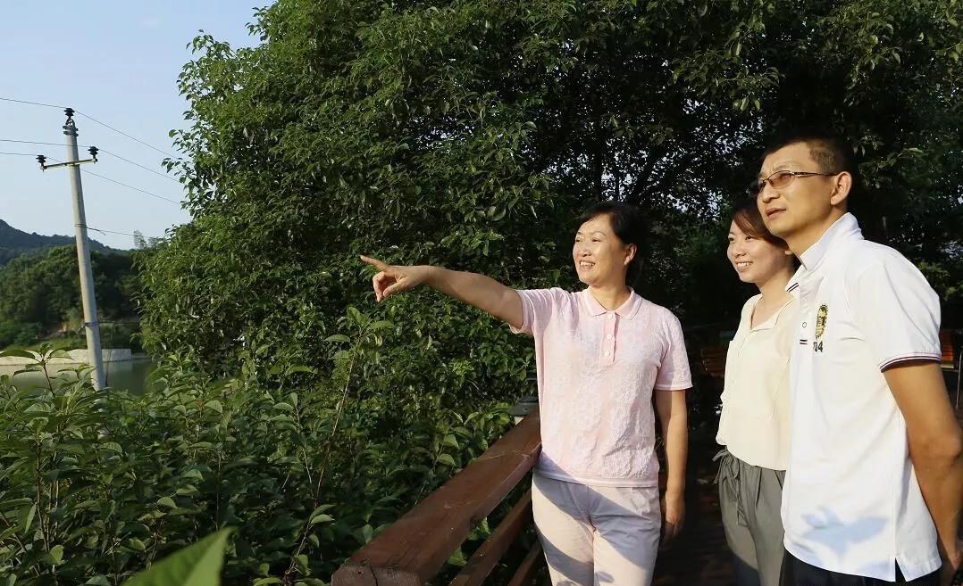 赋能产业发展助力乡村振兴,长沙连锁民宿经营方式和营销策略