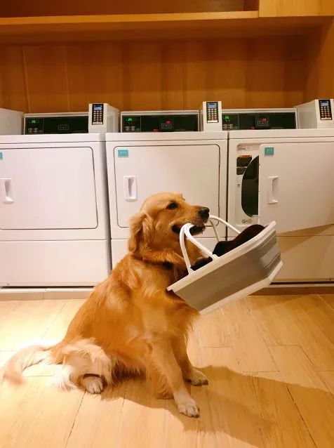 24小时澳美｜在EFC感受都市繁华的酣畅呼吸，工作生活两不误