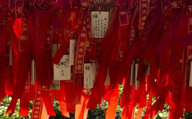 印象甘肃视频,印象甘肃乡村美景