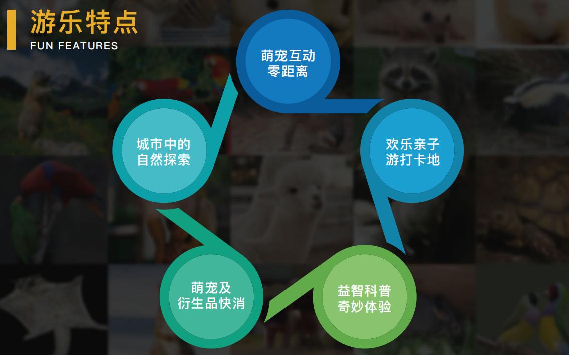 动妖局萌宠乐园加盟,室内萌宠乐园商业模式