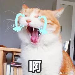 小ck2019简约小方包包,小ck哪款包包好看火爆