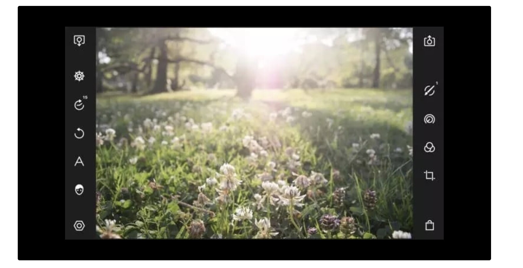 polarr调清晰度,polarrphotoeditor改变照片底色