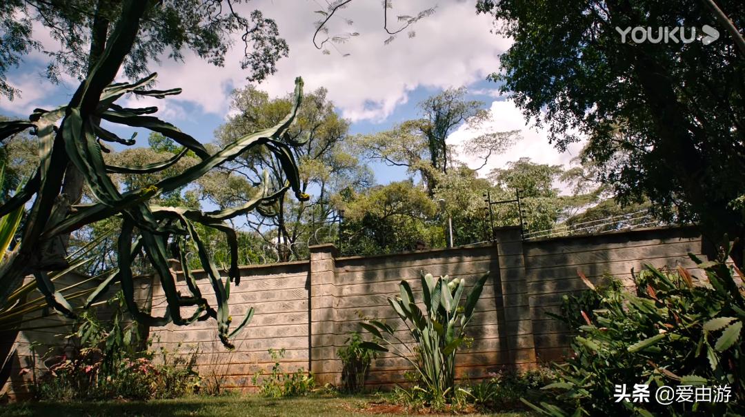 《猎狐》行动,200万能在非洲挥霍一生吗?