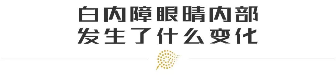 早期白内障视力在1.0有必要手术吗,现在割白内障需要动刀吗