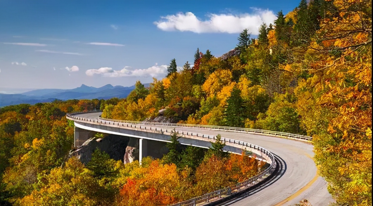 人力资源转型案例,人力资源行业数字化转型案例