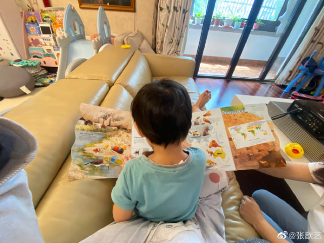 张歆艺晒一家三口照,张歆艺袁弘私照曝光