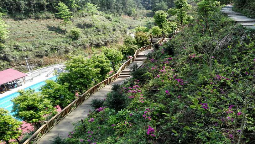 中国绿都最氧三明,中国绿都最氧三明春回大地