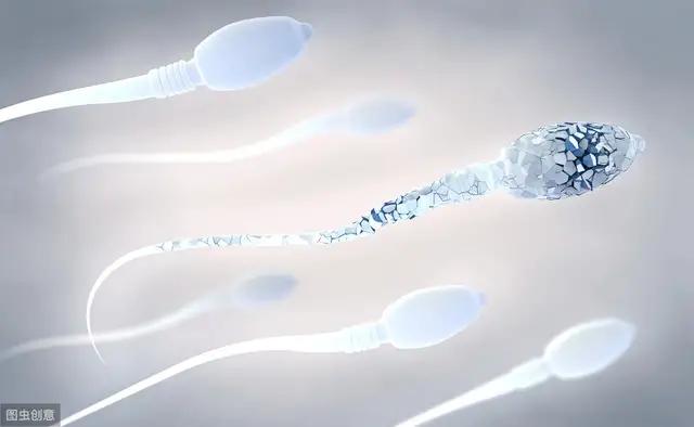 精子质量检测深度学习,精子质量检测怎么做