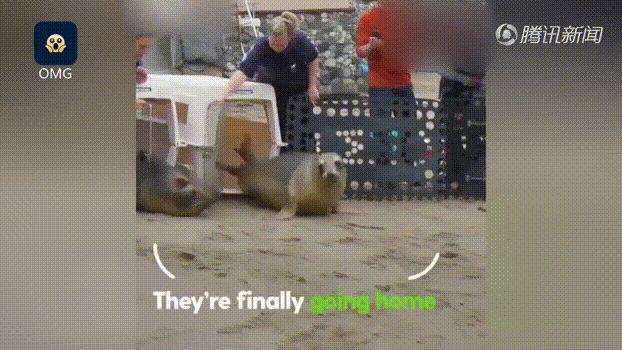 每个生命都值得被虐待,任何生命都不该被虐待