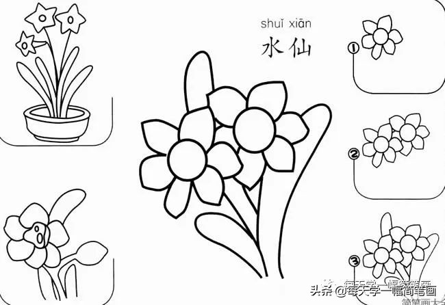 每天一幅简笔画的小教程,简笔画花朵的画法茉莉花