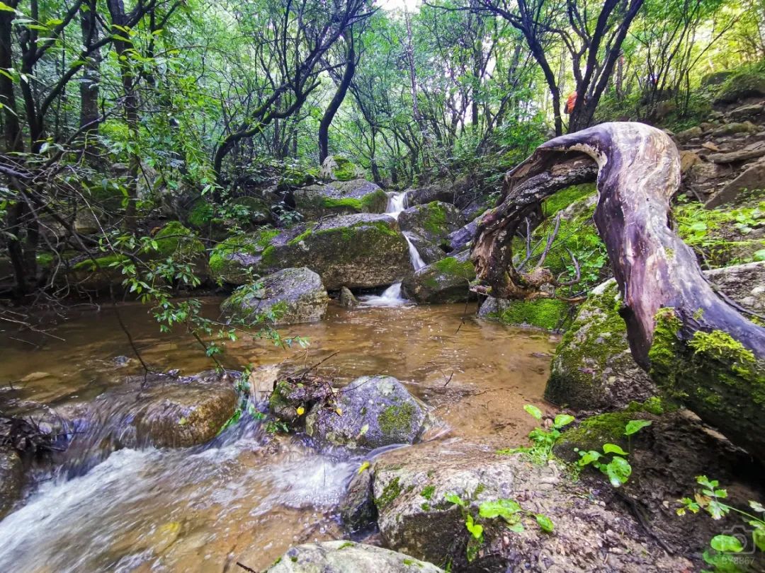 徒步穿越北驼梁完整版,穿越花海古道游记