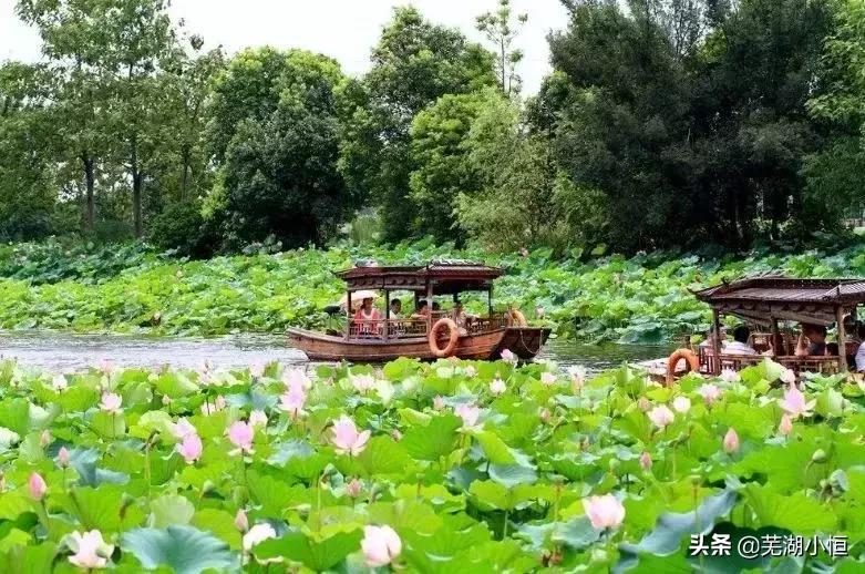 芜湖美丽的风景,芜湖最美地方