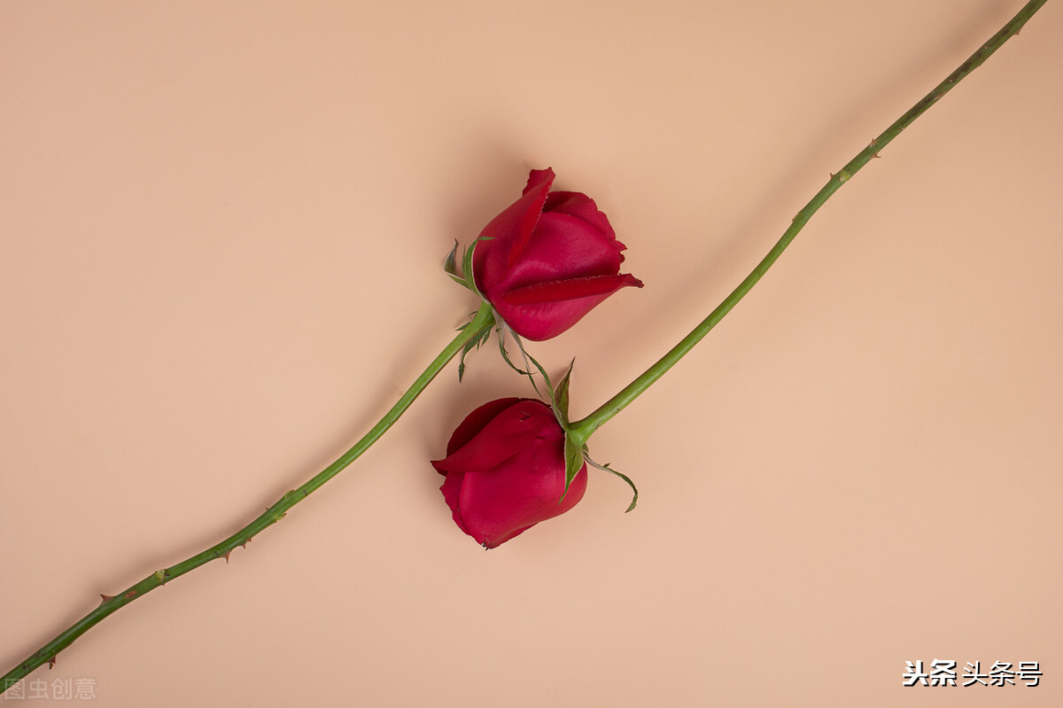 关于审美观念文案,时间观念很强的文案