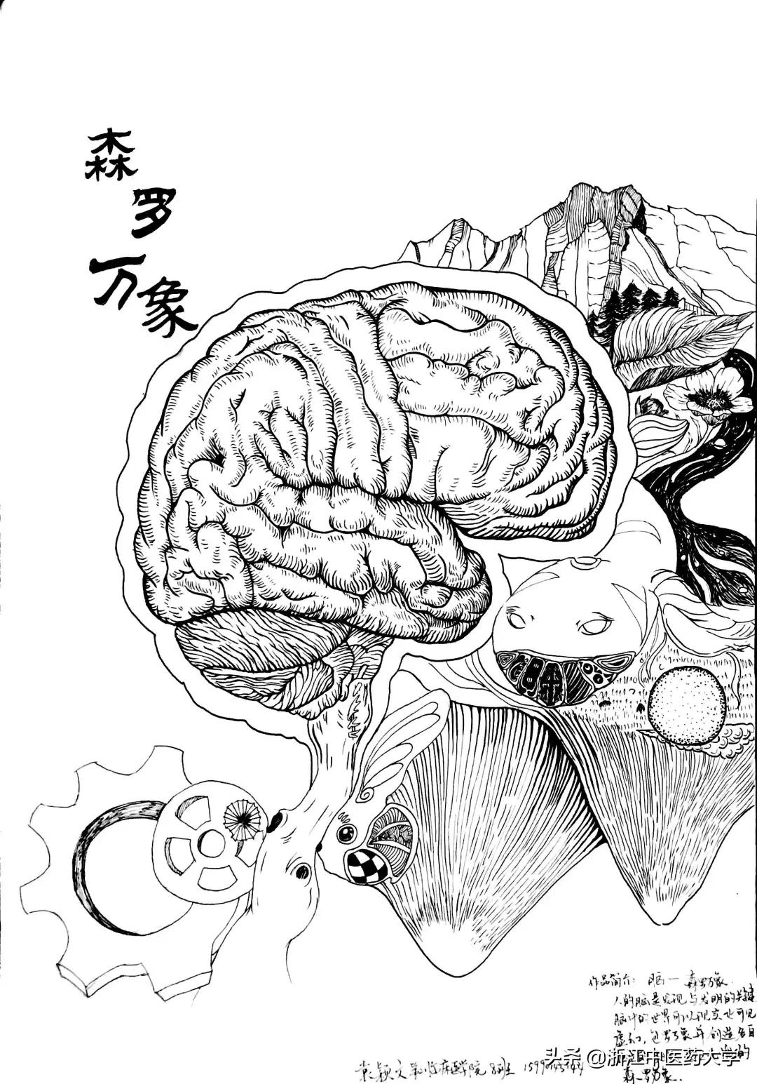 Amazing怎么写,wonderful怎么画