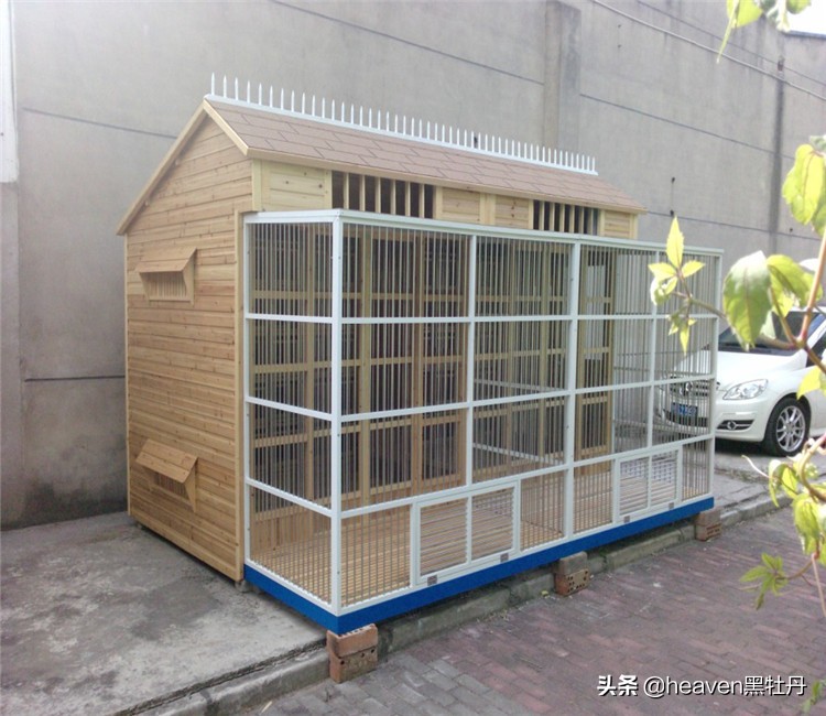 夏天鸽舍蚊虫怎么解决,夏季室内消灭蚊蝇最好的方法