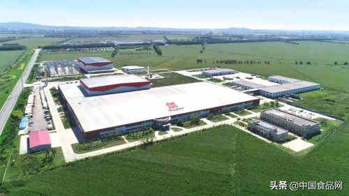 辉山乳业十天酸奶最新包装,辉山乳业的酸奶怎么样