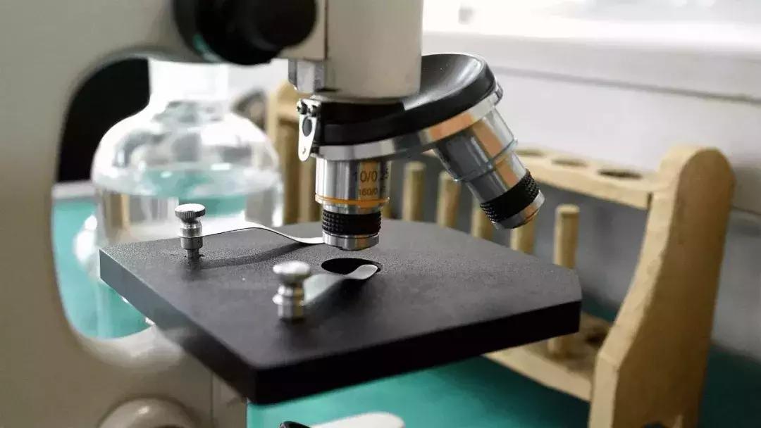 昆明市白塔中学小升初录取分数线,名校巡礼视频