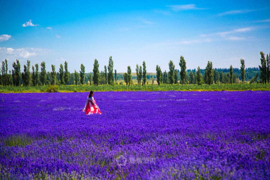 旅行中的故事讲述,旅行过程中的故事