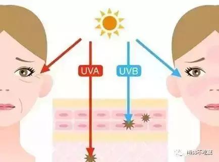 比防晒霜更厉害的防晒东西,比防晒霜更厉害的防晒食物