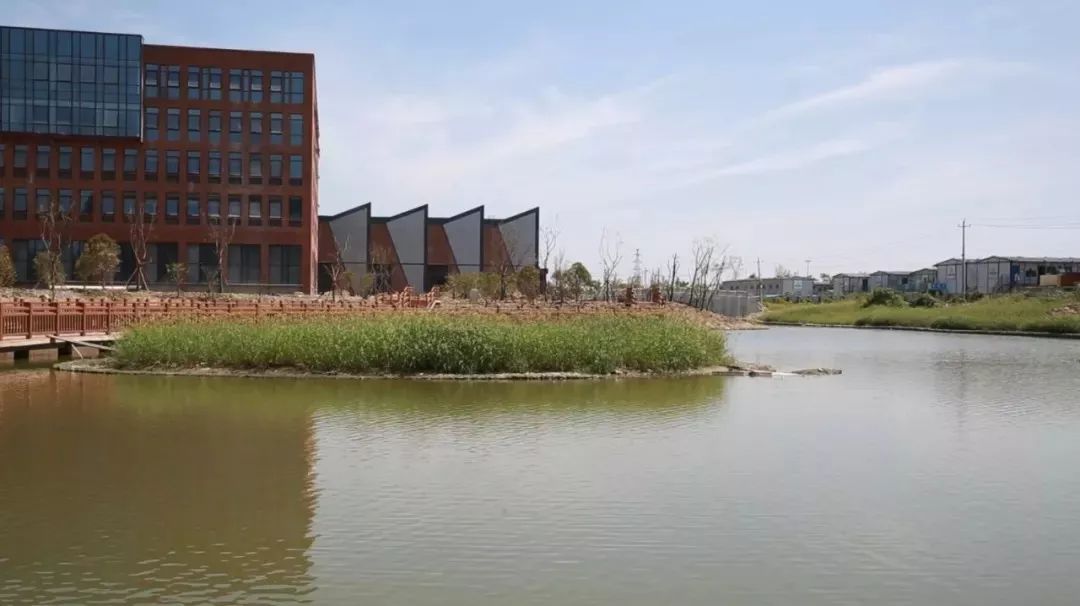 宁波学校开学时间最新消息,宁波中小学迎来开学