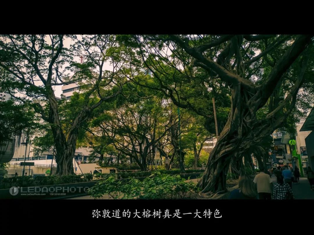 香港一日游拍照大片,香港旅游摄影地点推荐