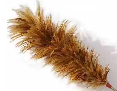 中国玩剩下的东西成了世界潮流,中国人玩剩的东西成了世界潮流