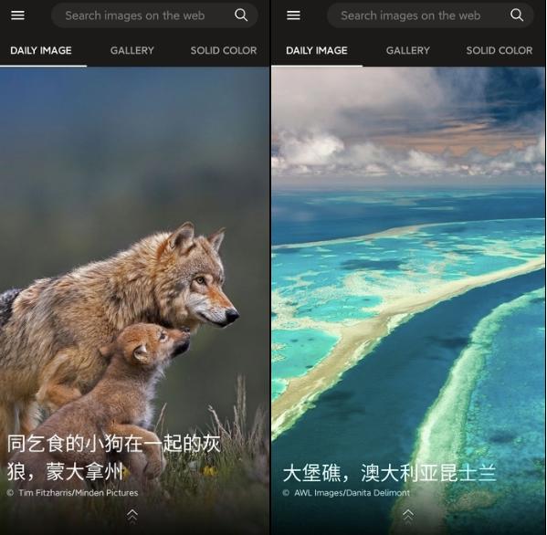 微软windows10使用技巧,win10系统微软官网哪些软件值得装