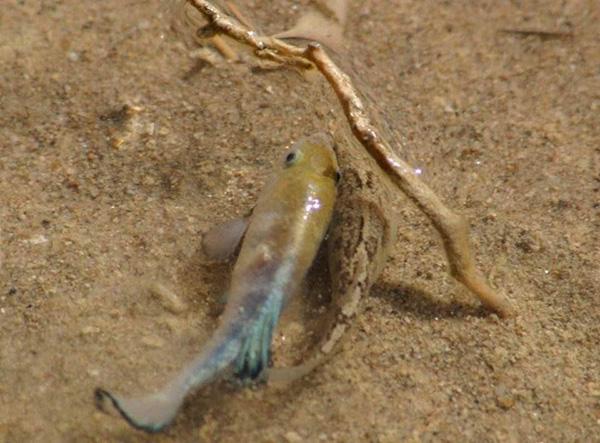 魔鬼天坑洞穴,魔鬼洞隧道