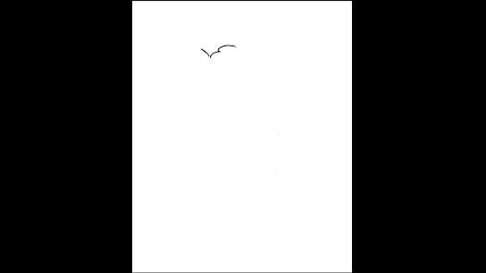 简笔画临摹怎么拍视频,彩铅500幅临摹简笔画