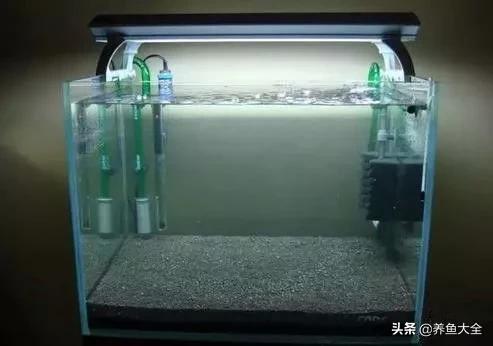 虾爆缸怎么办,极火虾怎么快速爆缸