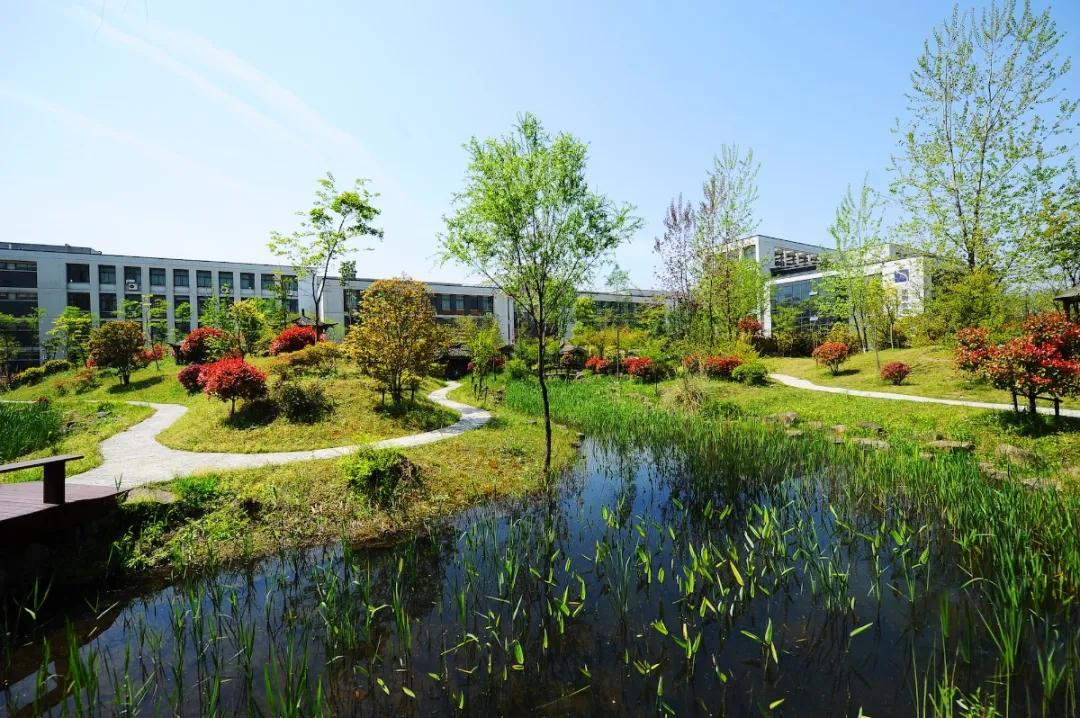 杭州美职学校风景,杭州美丽学校评选