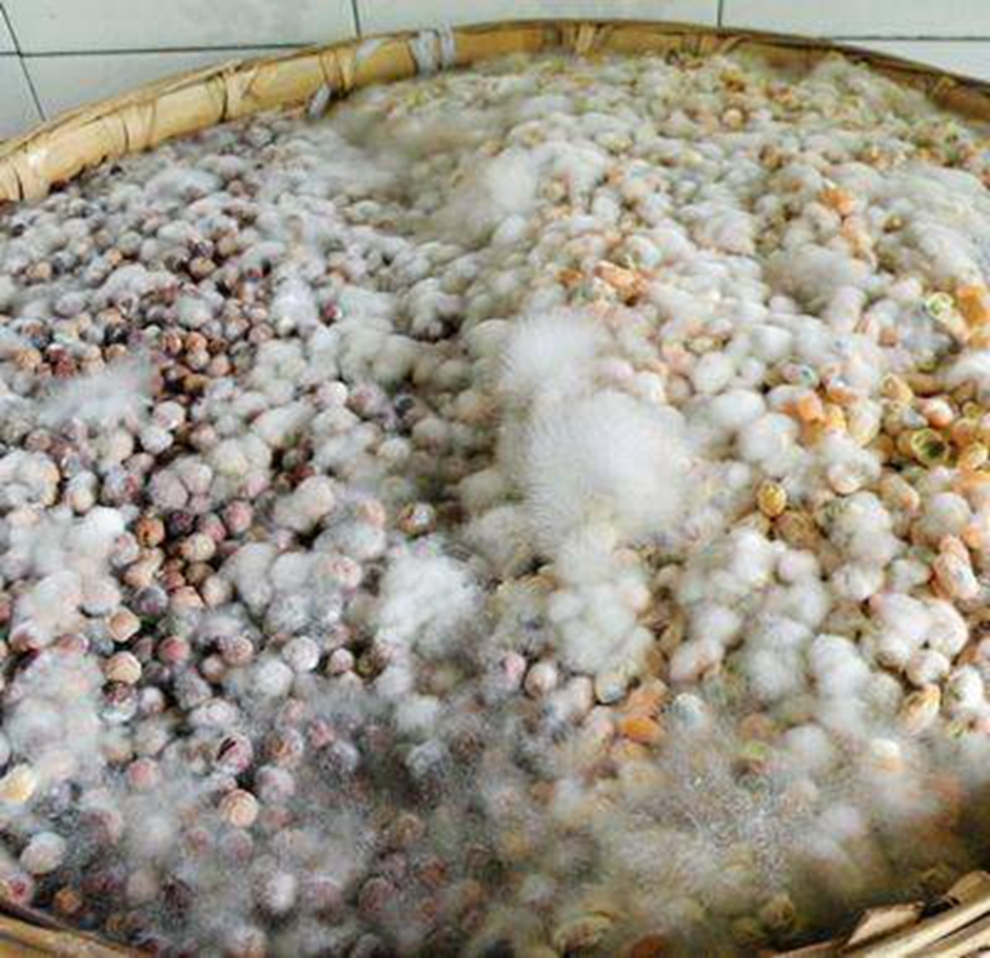 鲁西南酱豆子,陪伴我长大的老坛酸菜牛肉面