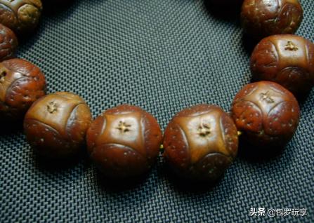 凤眼菩提的由来,凤眼菩提的起源和作用