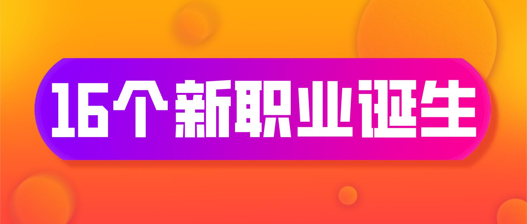 对专业人才的需求较为迫切 (16个新职业相关的专业)