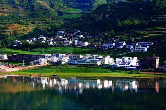 临沧南云,临沧南糯山普洱茶