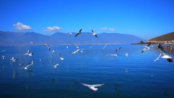 云南建议租车自驾游吗,云南租车游最佳攻略