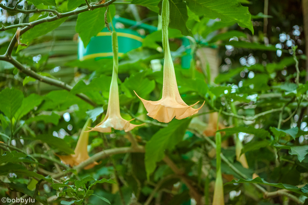 看城市变化蝶变融城,工业城市转型旅游城市