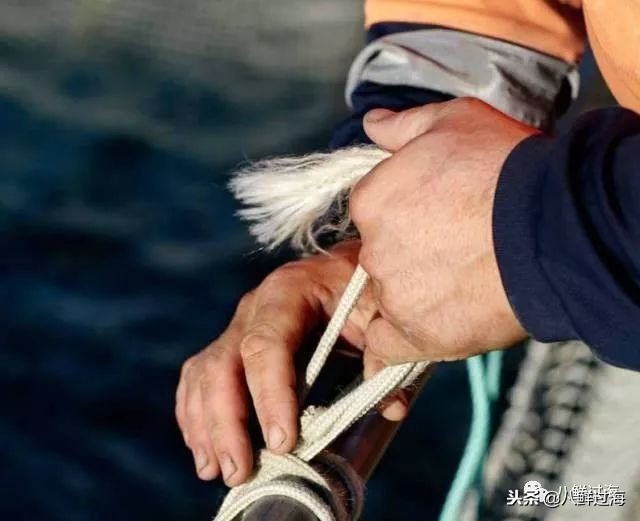 引入活青口贝、鲜帝王鲑,新西兰海产出口商的新生力量!