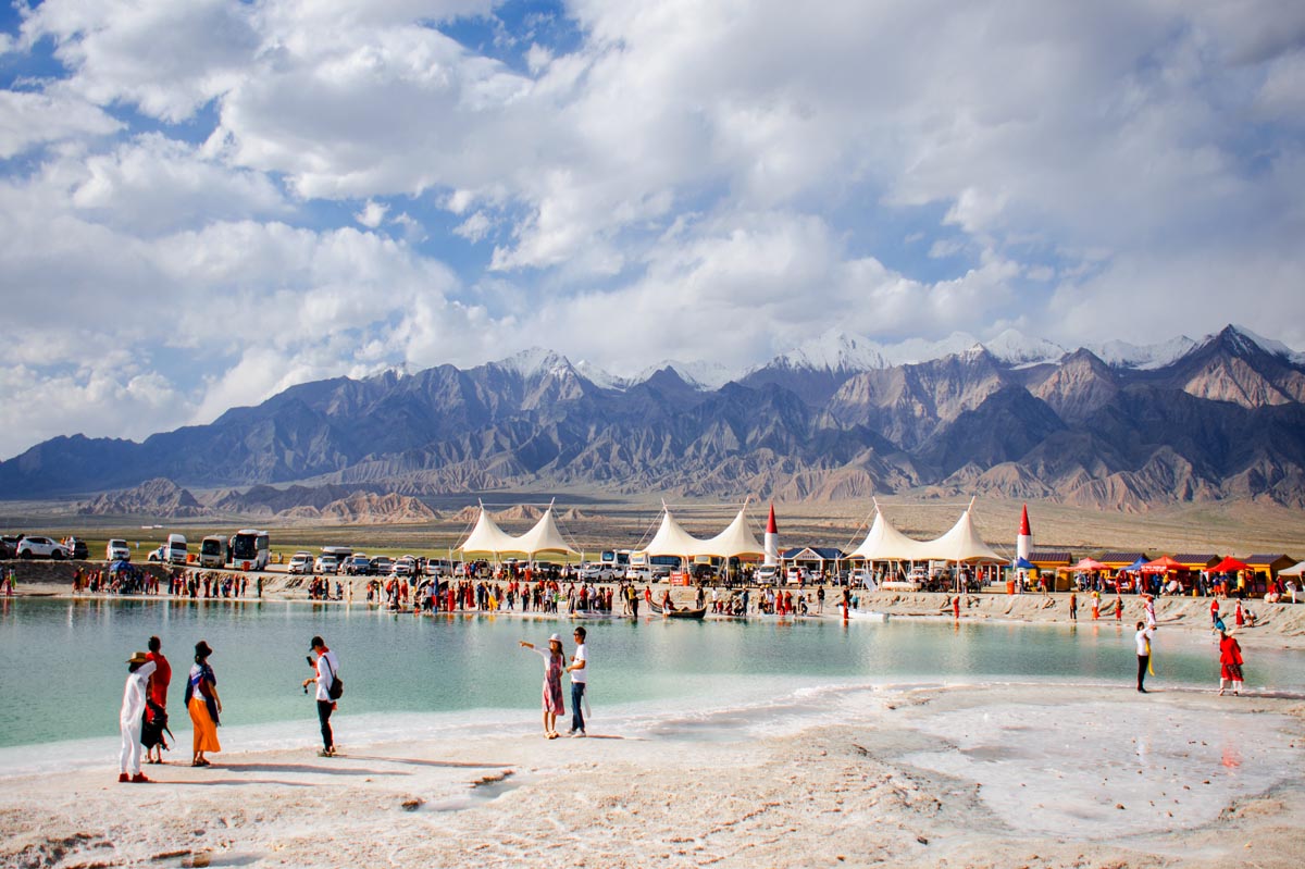 我的旅行日记之青海,我的旅行日记高原茶场