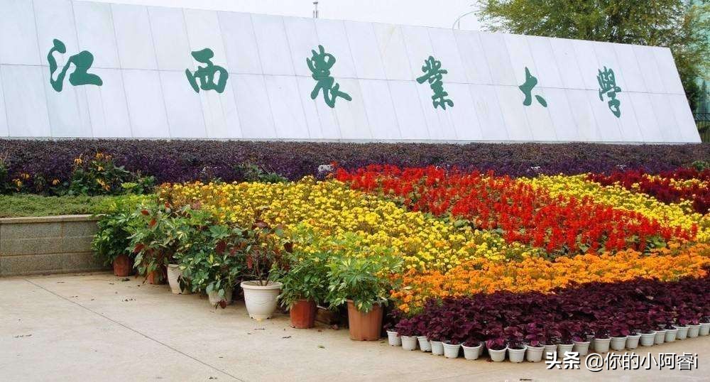 姹熻タ鍐滀笟澶у鍗犲湴闈㈢Н,姹熻タ鍐滀笟澶у杞欢瀛﹂櫌