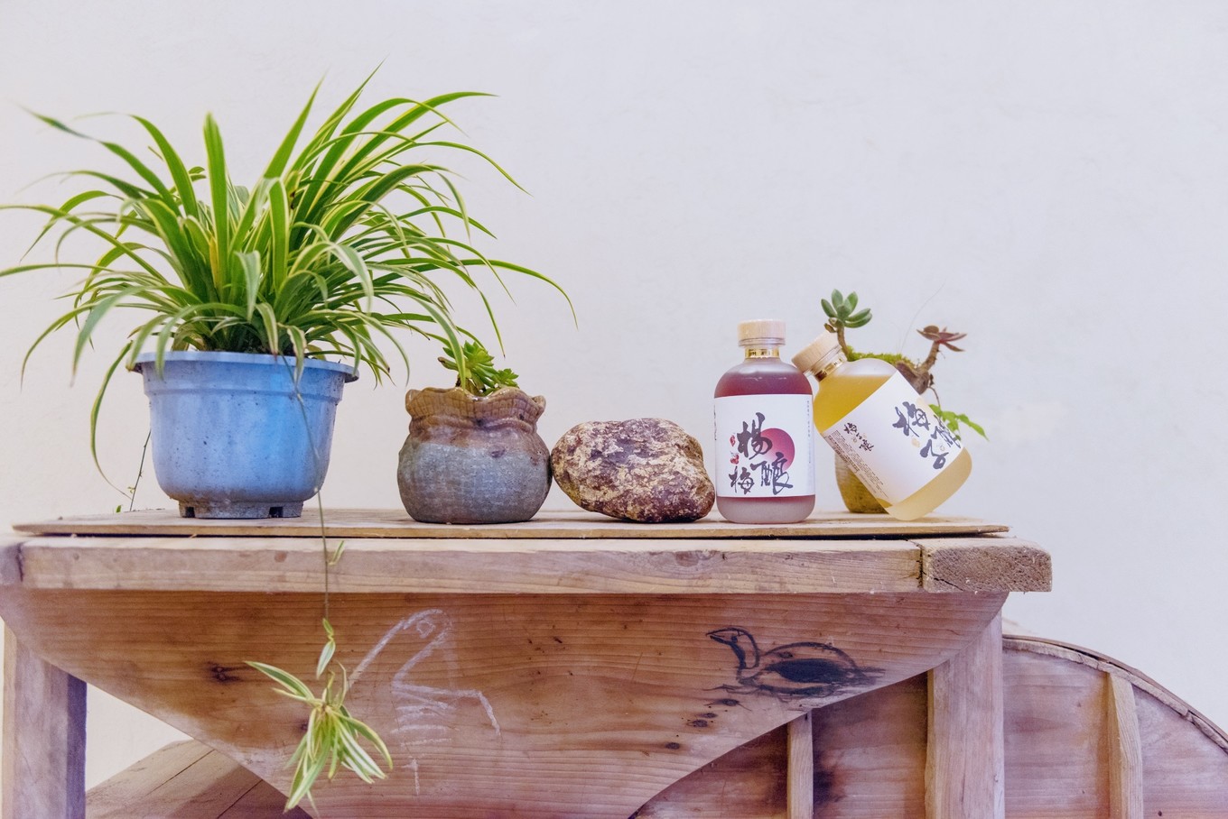 避暑攻略青城山,青城山踏青