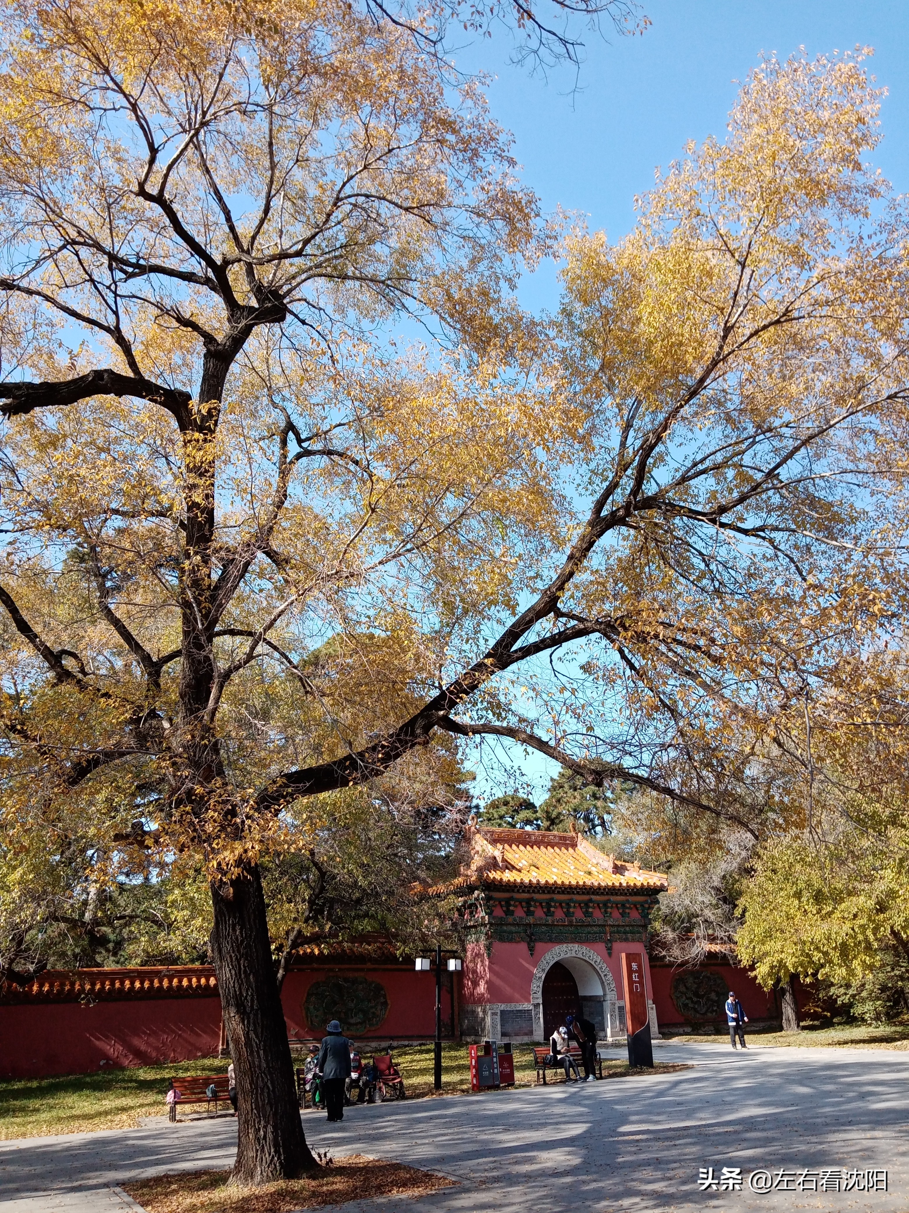 秋季沈阳北陵公园有啥好玩的,漫步沈阳北陵公园湖水边