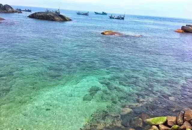 南澳岛的莫干山式民宿预订,南澳岛民宿海景房三房