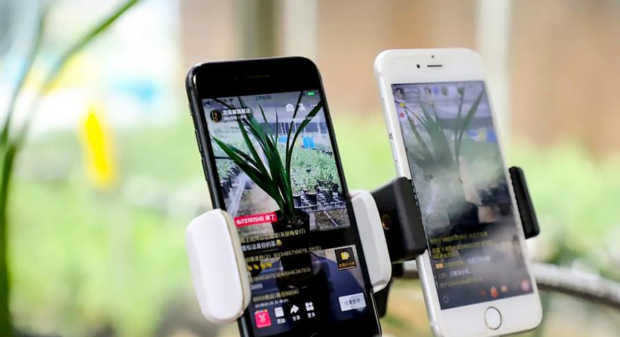 漳州南靖：中国兰谷之乡，花卉产业蝶变跃升