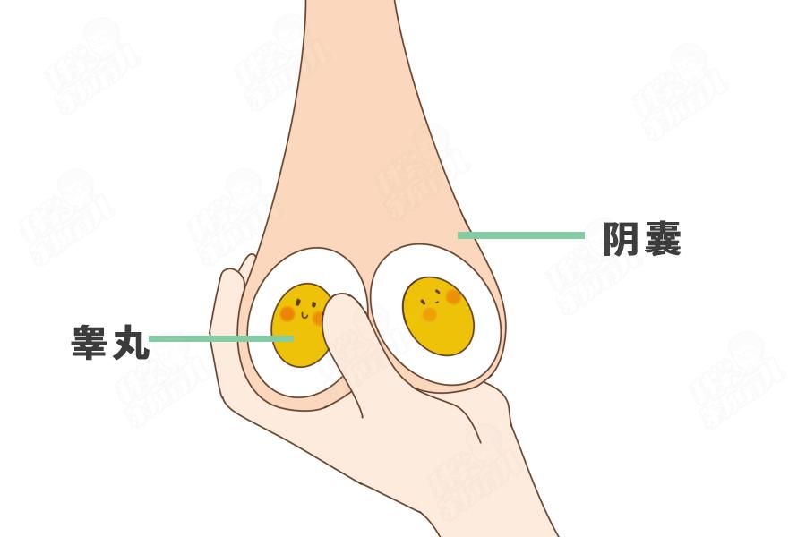 蛋蛋一高一低、一大一小正常吗？男娃5大*处私**问题，错不起