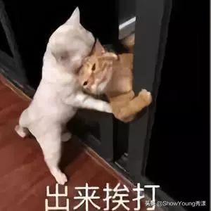 护肤美妆雷品,护肤雷品推荐