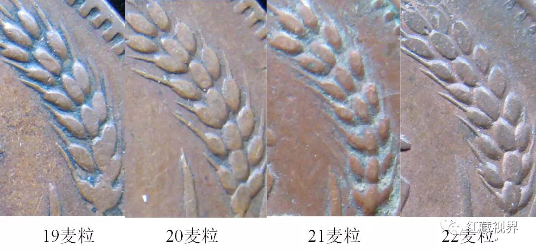 苏维埃五分铜币真假鉴定,苏维埃五分铜币有岛价格