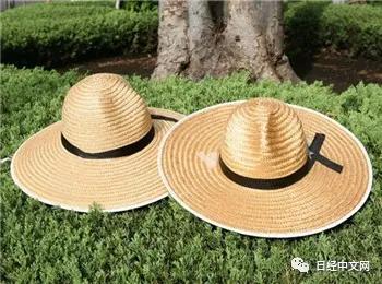 今年夏天为什么没那么热,今年夏天有什么变化