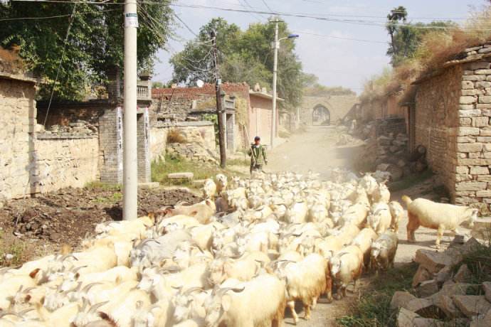 黄河边墙之五关河上下(二)