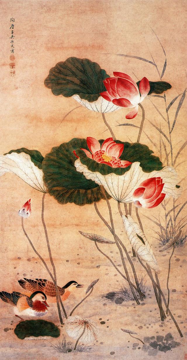 「转」这么美的荷花，千年荷韵